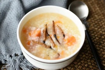 Đông trùng hạ thảo vị thuốc bổ chữa yếu sinh lý và suy nhược cơ thể